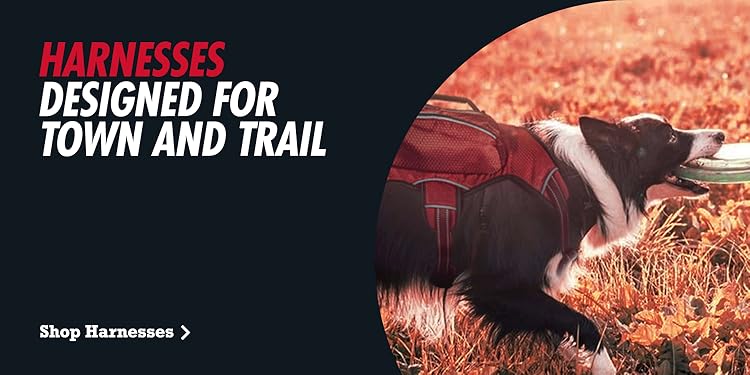 Built for Every Barking Adventure